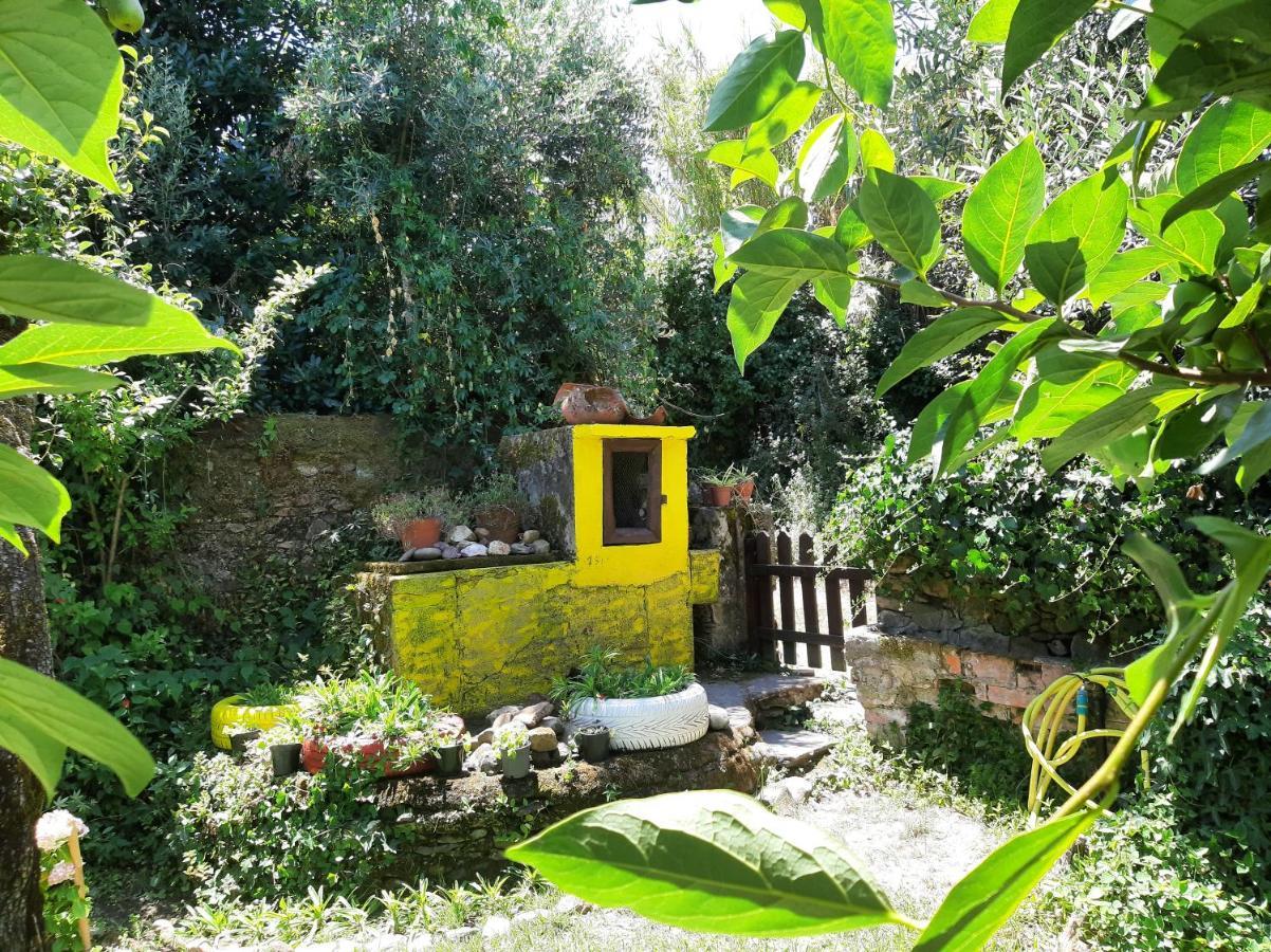 Casa do Sr. Falcão Miranda do Corvo Exterior foto